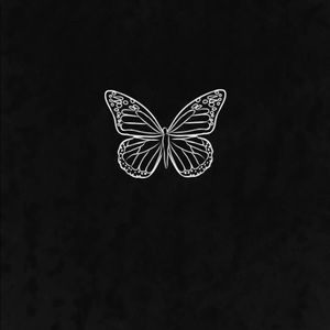 Meet your Posher, Gracie